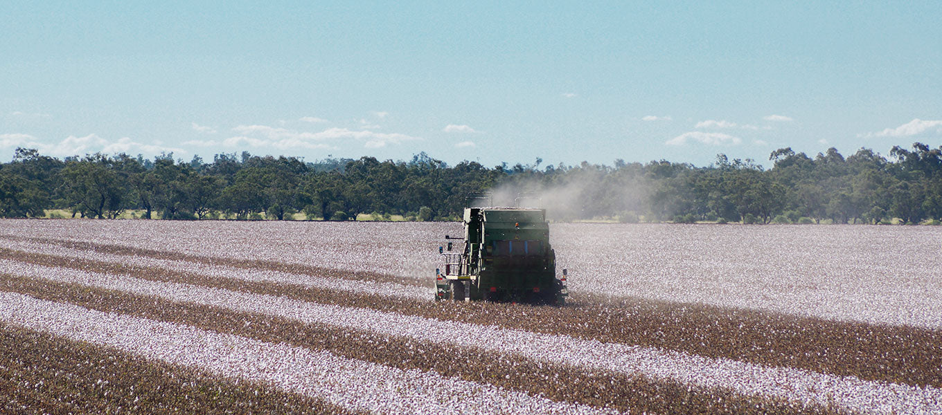 Load video: PurCotton Winner cotton products company introduction.